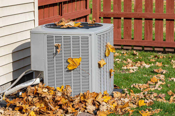 Best HVAC Air Duct Cleaning  in Newport, DE